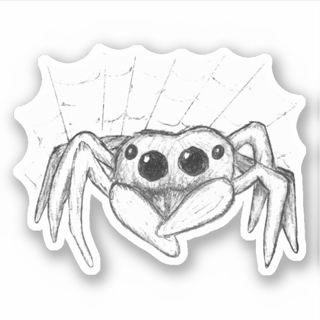 Cute Spider and Web Sketch Sticker (Front)
