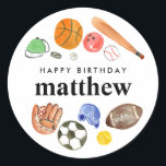 Cute Sports Balls Kid Boy Happy Birthday Favor Classic Round Sticker<br><div class="desc">Modern All Star Sports Balls Team Kids Birthday</div>