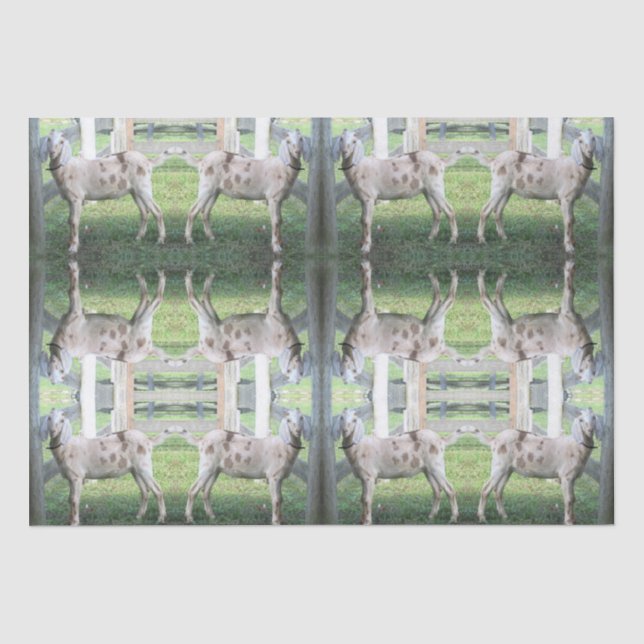 Cute Spotted Floppy Eared Goat Tissue Paper (Front)