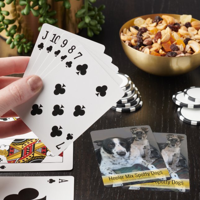 Cute Spotty Heeler Mix Dogs Template Photo Poker Cards (In Situ)