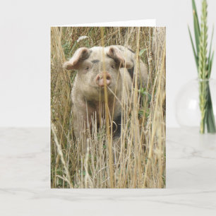 Cute Spotty Pig Greeting Card