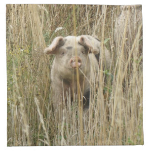 Cute Spotty Pig Napkin