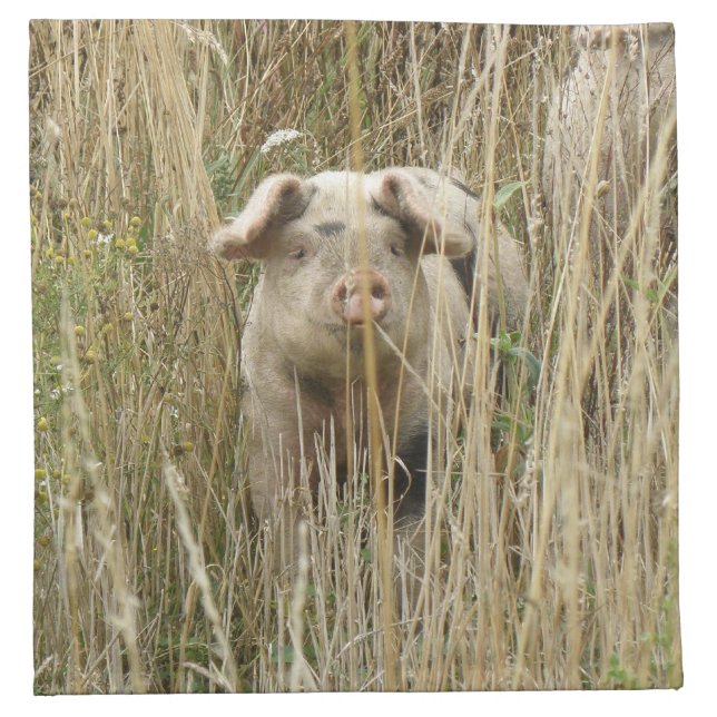 Cute Spotty Pig Napkin (Front)