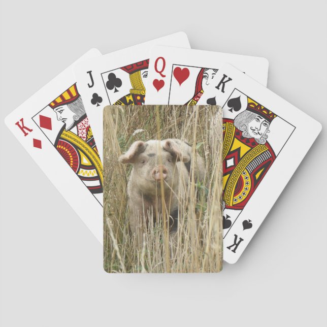 Cute Spotty Pig Playing Cards (Back)
