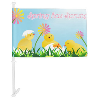 Cute Spring Chicks Car Flag