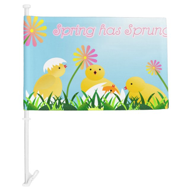 Cute Spring Chicks Car Flag (Front)