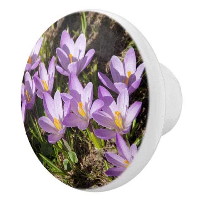 Cute spring crocuses ceramic knob (Right)