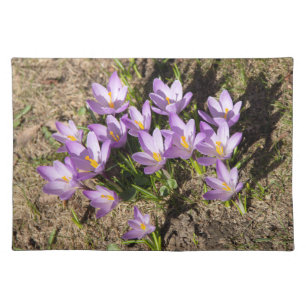 Cute spring crocuses cloth placemat