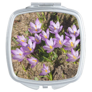 Cute spring crocuses compact mirror