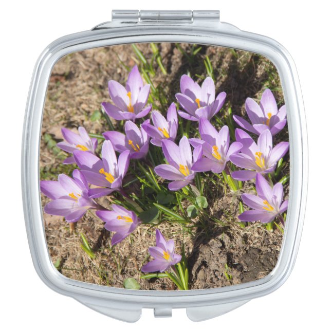 Cute spring crocuses compact mirror (Front)