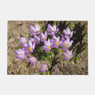 Cute spring crocuses doormat