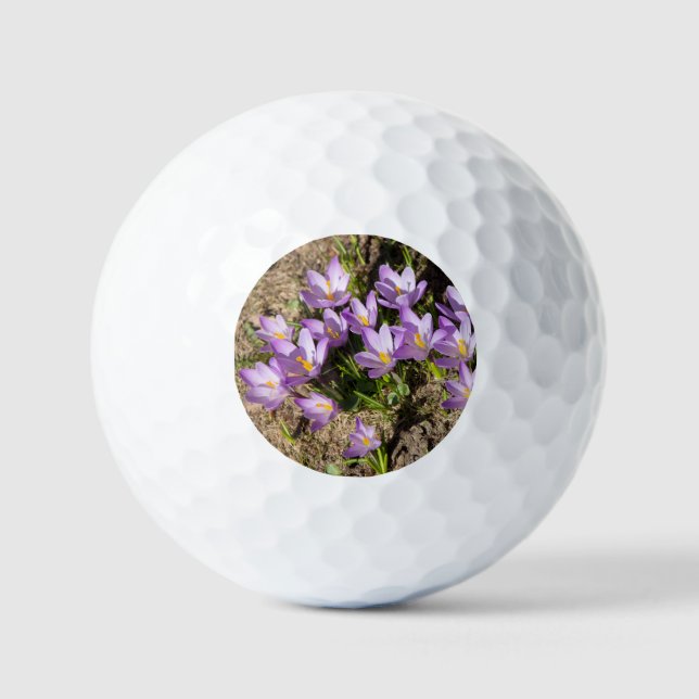 Cute spring crocuses golf balls (Front)