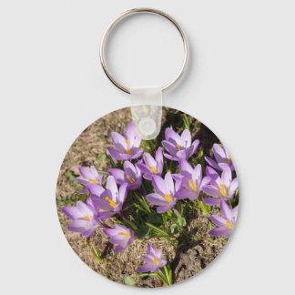 Cute spring crocuses keychain