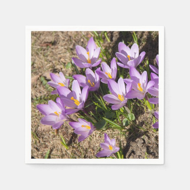 Cute spring crocuses napkins (Front)