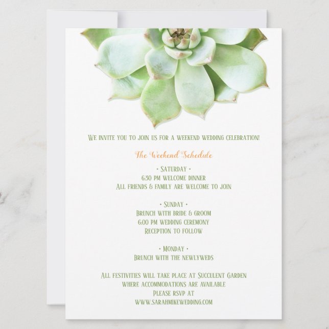 Cute Spring Succulent Wedding Itinerary Enclosure Invitation (Front)