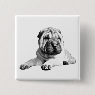 Cute Square Shar Pei Button