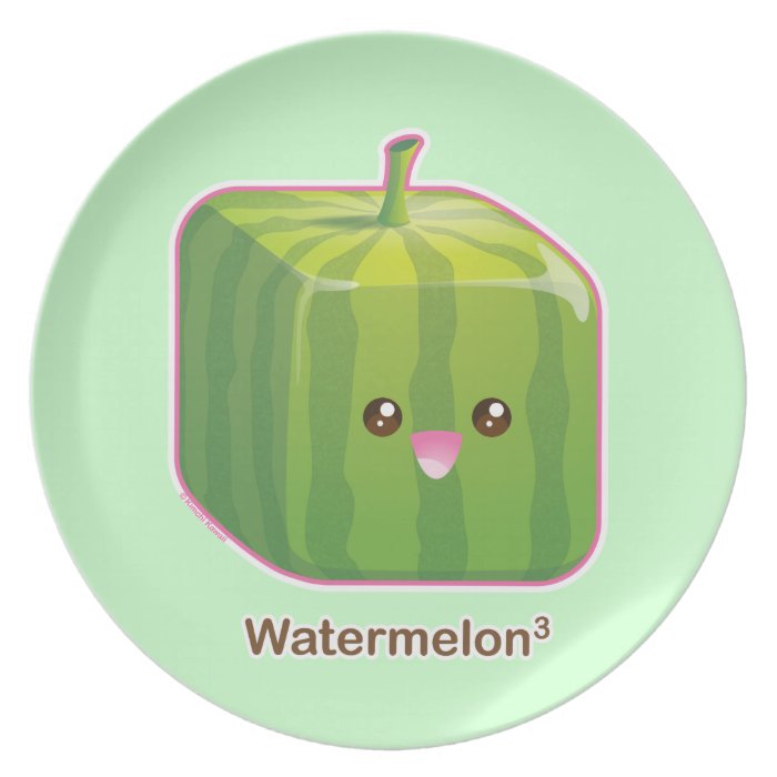 Cute Square Watermelon Plate