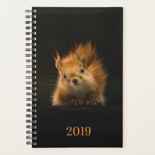 Cute Squirrel 2019 Planner
