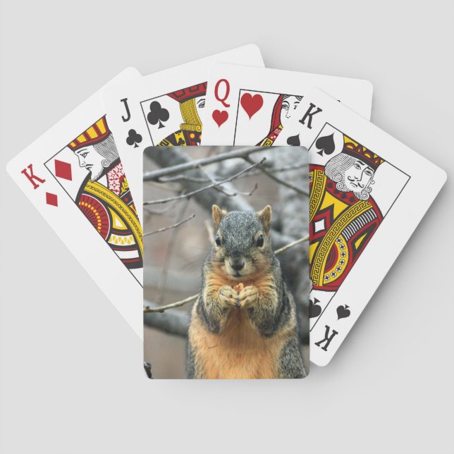 Cute squirrel and his nut poker cards (Back)