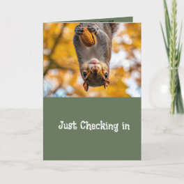 Cute Squirrel Animal Fun Get Well Holiday Card
