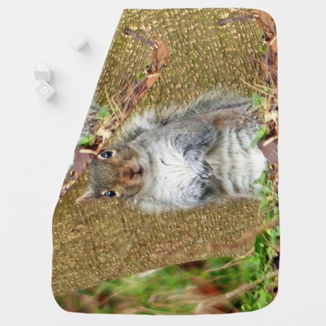 Cute Squirrel Baby Blanket (In Situ)