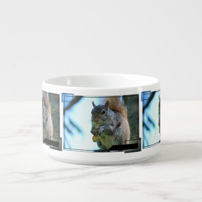 Cute Squirrel Bowl (Center)