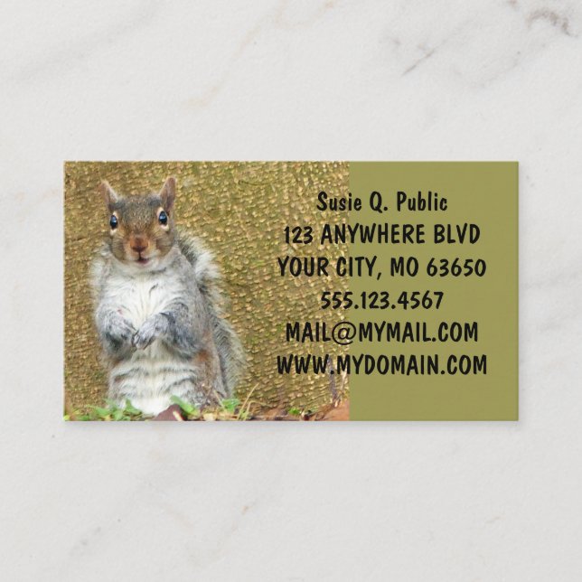 Cute Squirrel Business Card (Front)