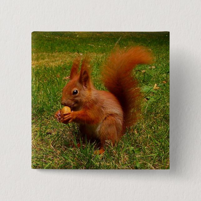 Cute Squirrel Button (Front)