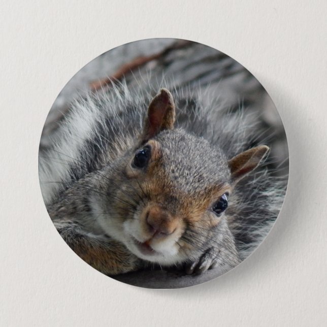Cute Squirrel Button (Front)