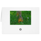 Cute Squirrel Checking in on You Card (Back Horizontal)