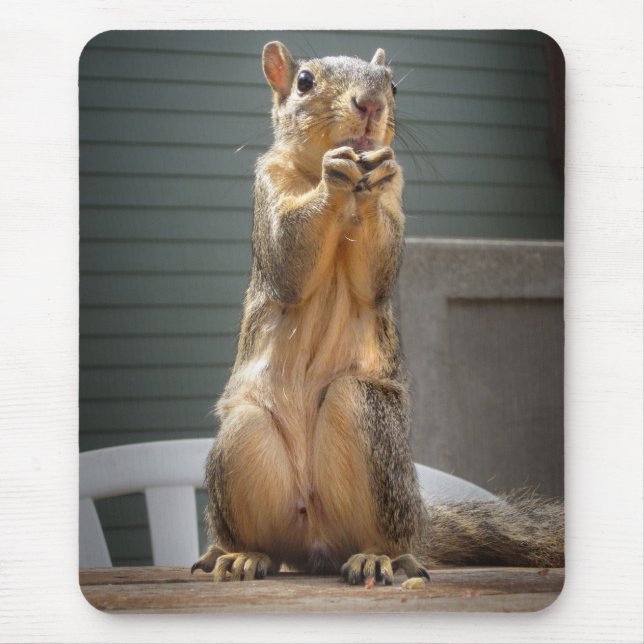 Cute Squirrel Closeup with Nut 3 Mouse Pad (Front)