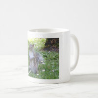 Cute Squirrel Coffee Mug