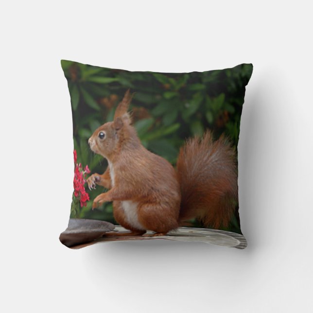 Cute Squirrel Custom Throw Pillow (Front)