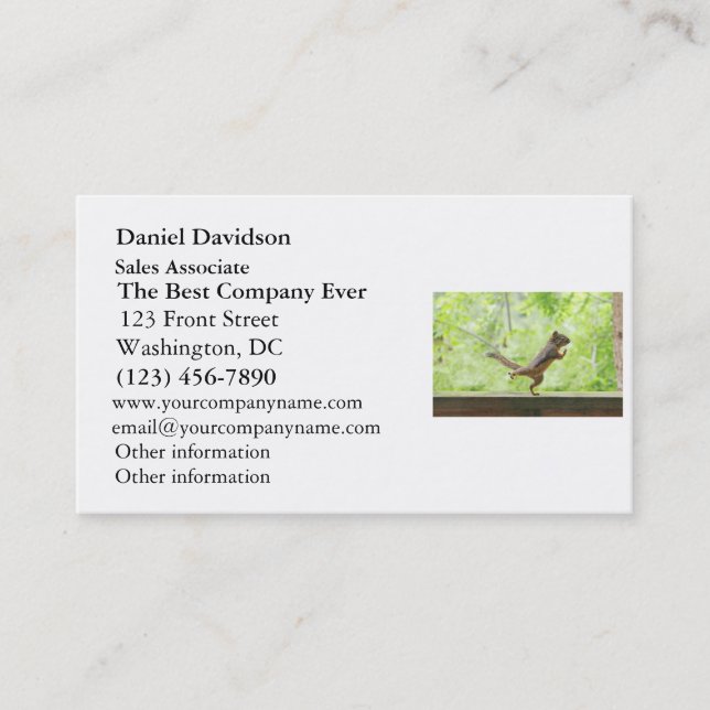 Cute Squirrel Doing Tai Chi Business Card (Front)