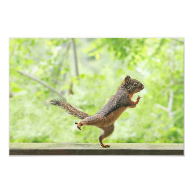 Cute Squirrel Doing Tai Chi Photo Print (Front)