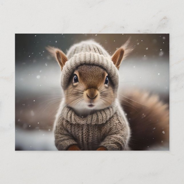 Cute Squirrel Dressed for Winter Postcard (Front)
