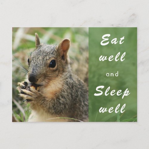 cute squirrel eat well and sleep well post card