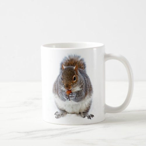 Cute Squirrel Eating a Nut Photo Coffee Mug