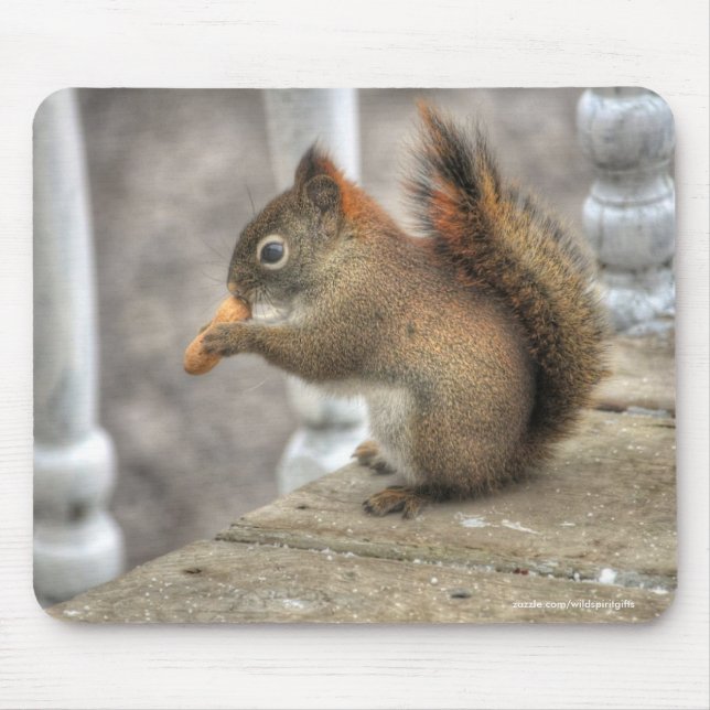 Cute Squirrel Eating a Peanut Wildlife Photo Mouse Pad (Front)