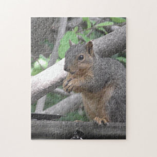 Cute Squirrel Eating Nut Jigsaw Puzzle
