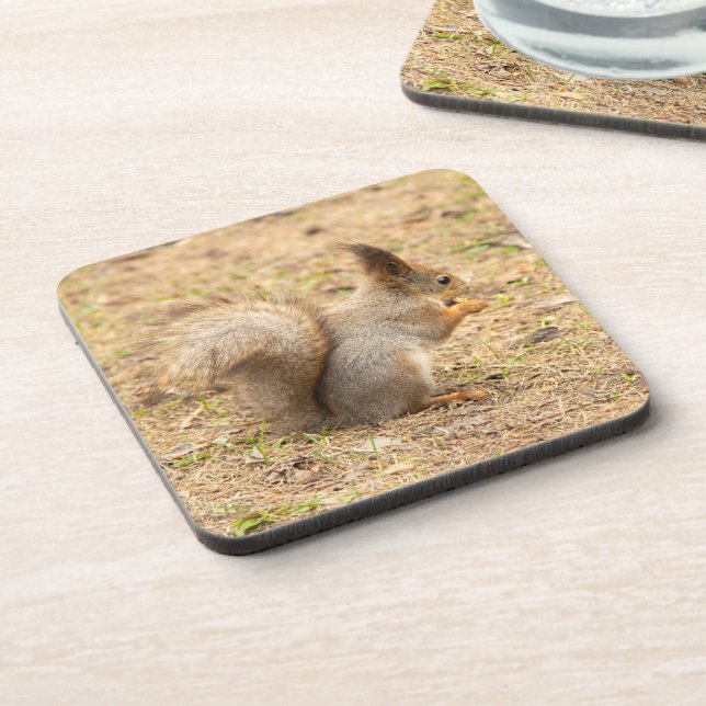 Cute squirrel eats a nut photo beverage coaster (Left Side)