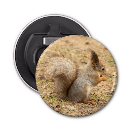 Cute squirrel eats a nut photo bottle opener