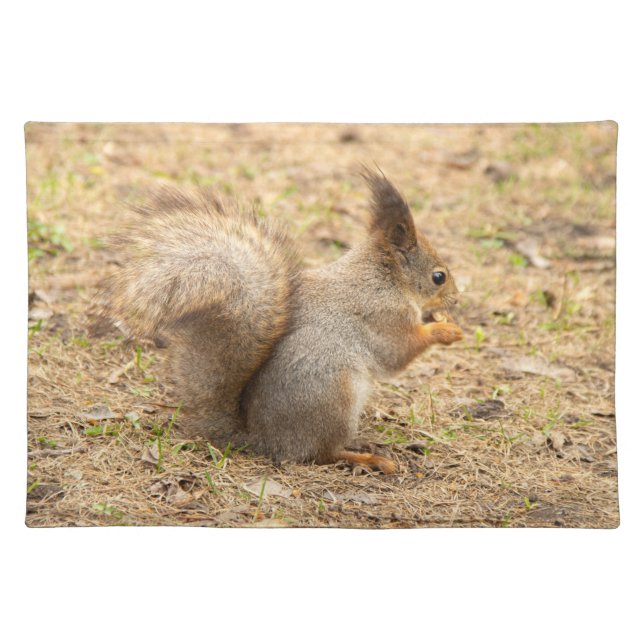 Cute squirrel eats a nut photo cloth placemat (Front)