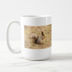 Cute squirrel eats a nut photo coffee mug