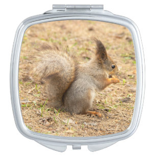 Cute squirrel eats a nut photo compact mirror