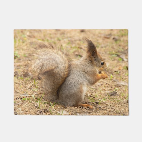 Cute squirrel eats a nut photo doormat