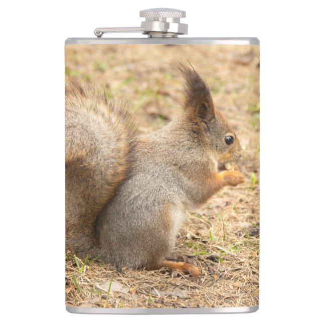 Cute squirrel eats a nut photo flask (Front)