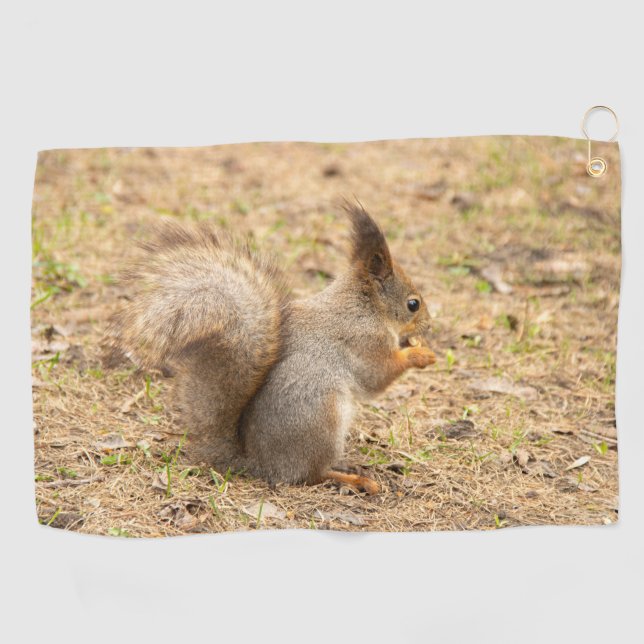 Cute squirrel eats a nut photo golf towel (Horizontal)