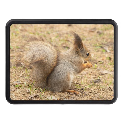 Cute squirrel eats a nut photo hitch cover