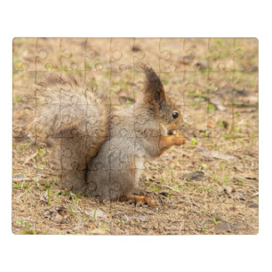 Cute squirrel eats a nut photo jigsaw puzzle